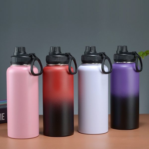 Are you looking for an insulated water bottle to keep your drinks cold