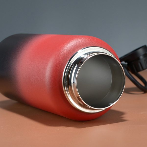 Are you looking for an insulated water bottle to keep your drinks cold