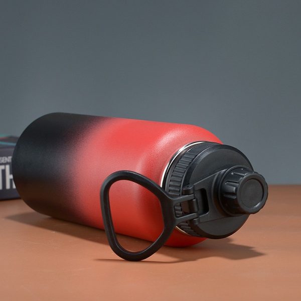 Are you looking for an insulated water bottle to keep your drinks cold